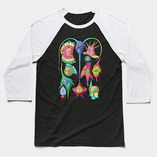 Ernst Haeckel  Rainbow  Peridinea Algae Baseball T-Shirt by Scientistudio